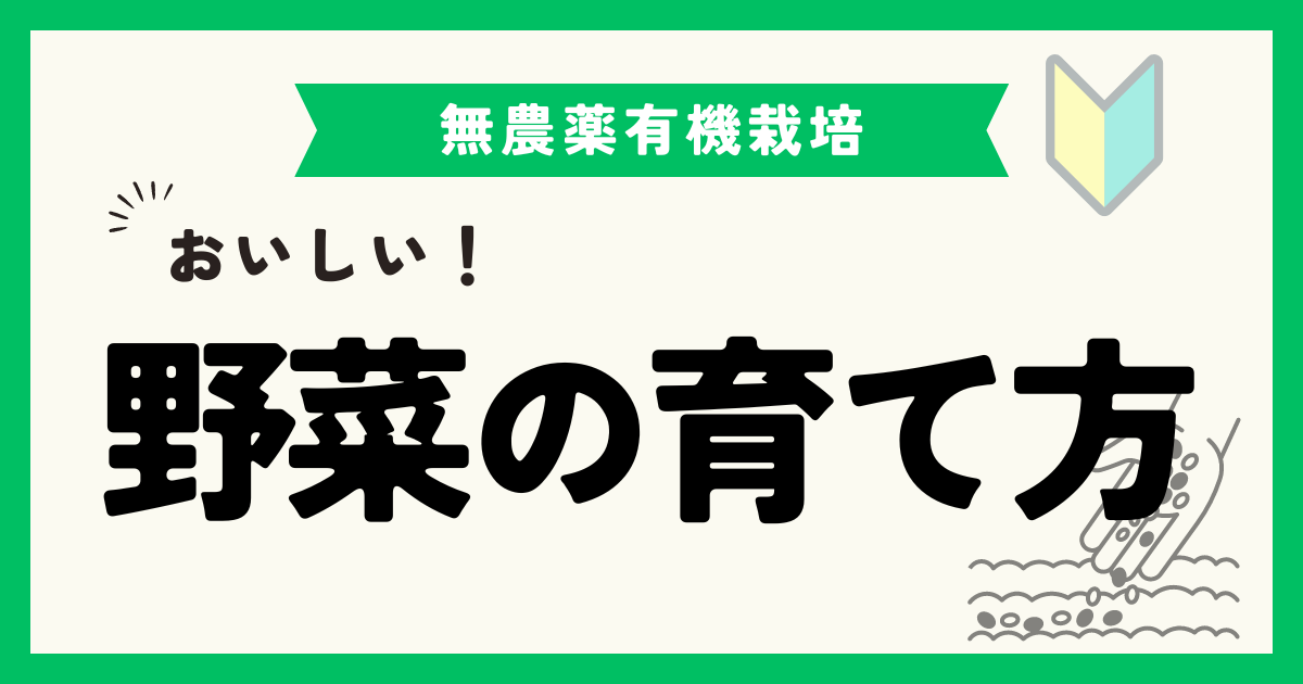 市民農園で成功する！おいしい野菜の育て方